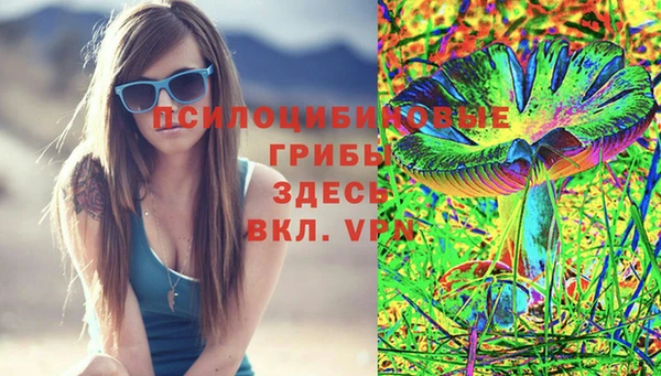 эйфоретик Заводоуковск