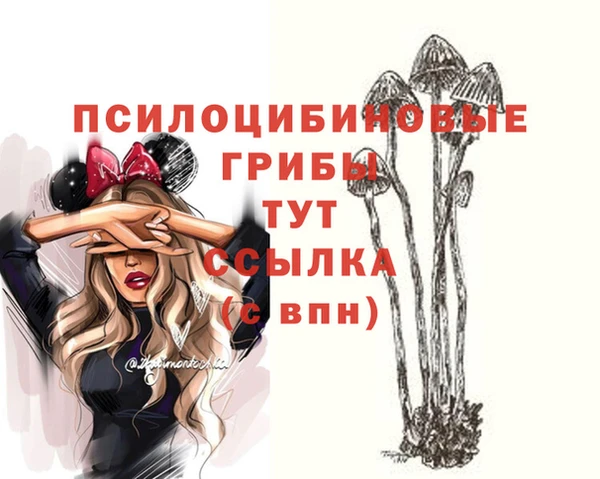 первитин Заволжск