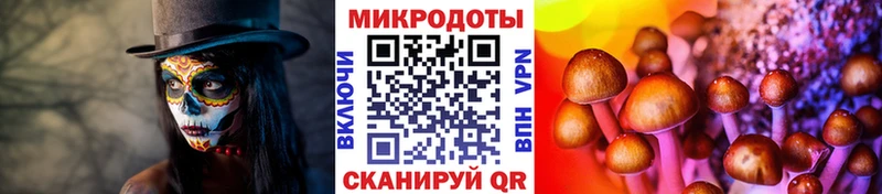 Галлюциногенные грибы MAGIC MUSHROOMS  где можно купить   Питкяранта 