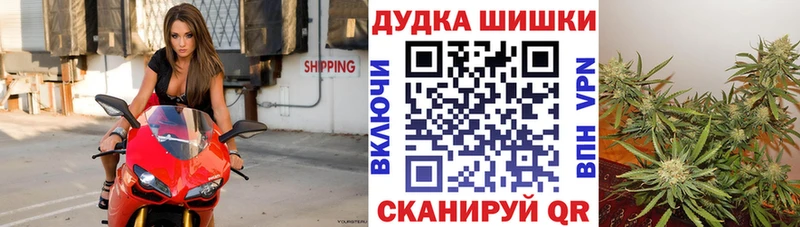 дарнет шоп  KRAKEN зеркало  Каннабис планчик  Питкяранта 